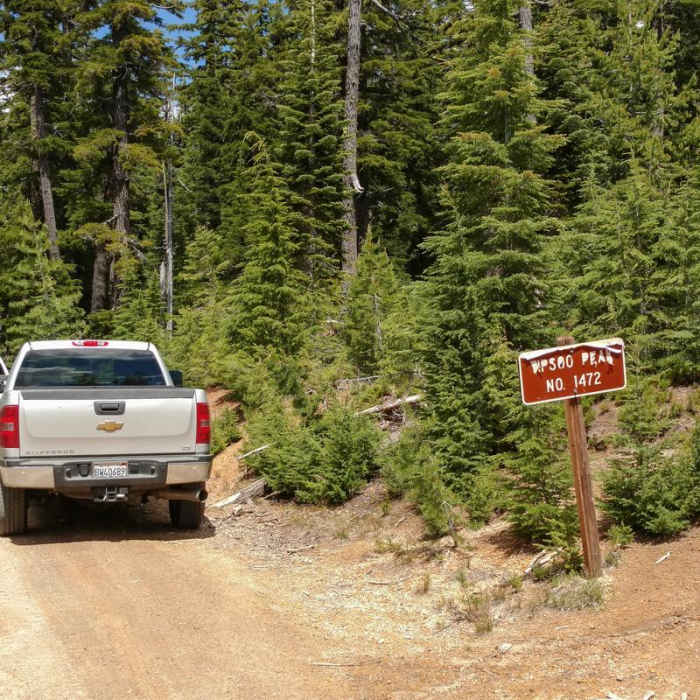 Near Tipsoo Peak Hike