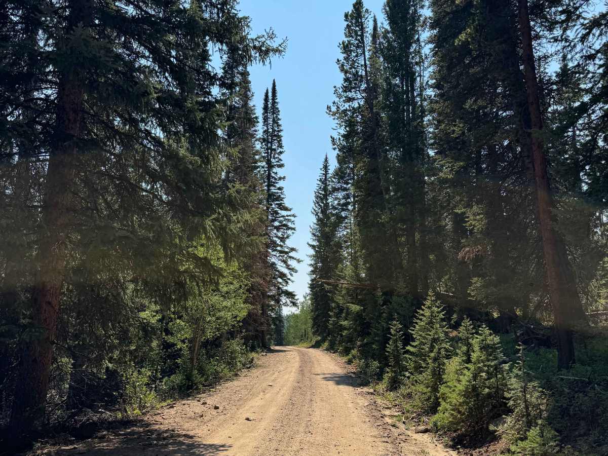 Harper Road - FS 915 photo 3