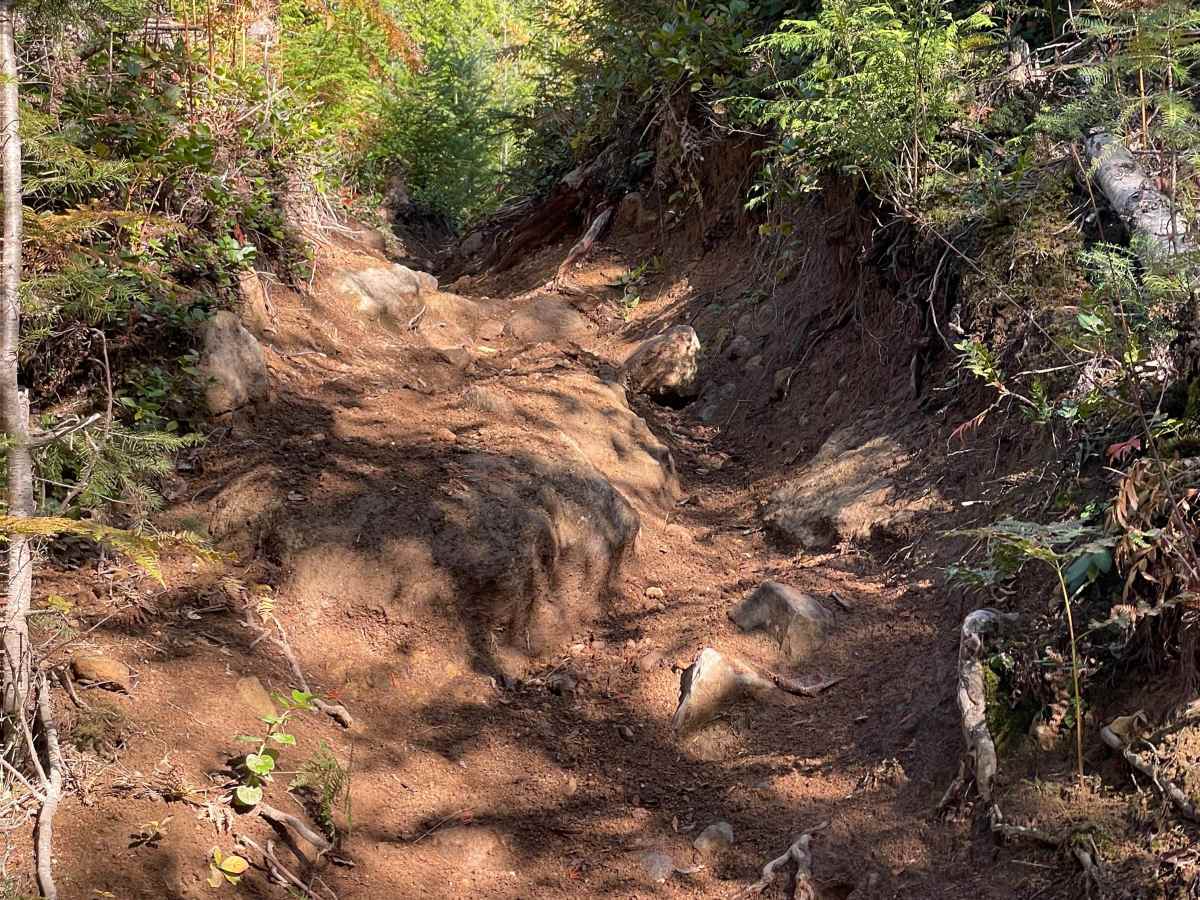 Don't Miss the Fun in the Sun Hard Line trail photo