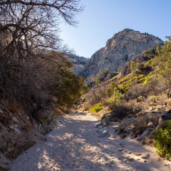 Near Red Hollow Slot Canyon