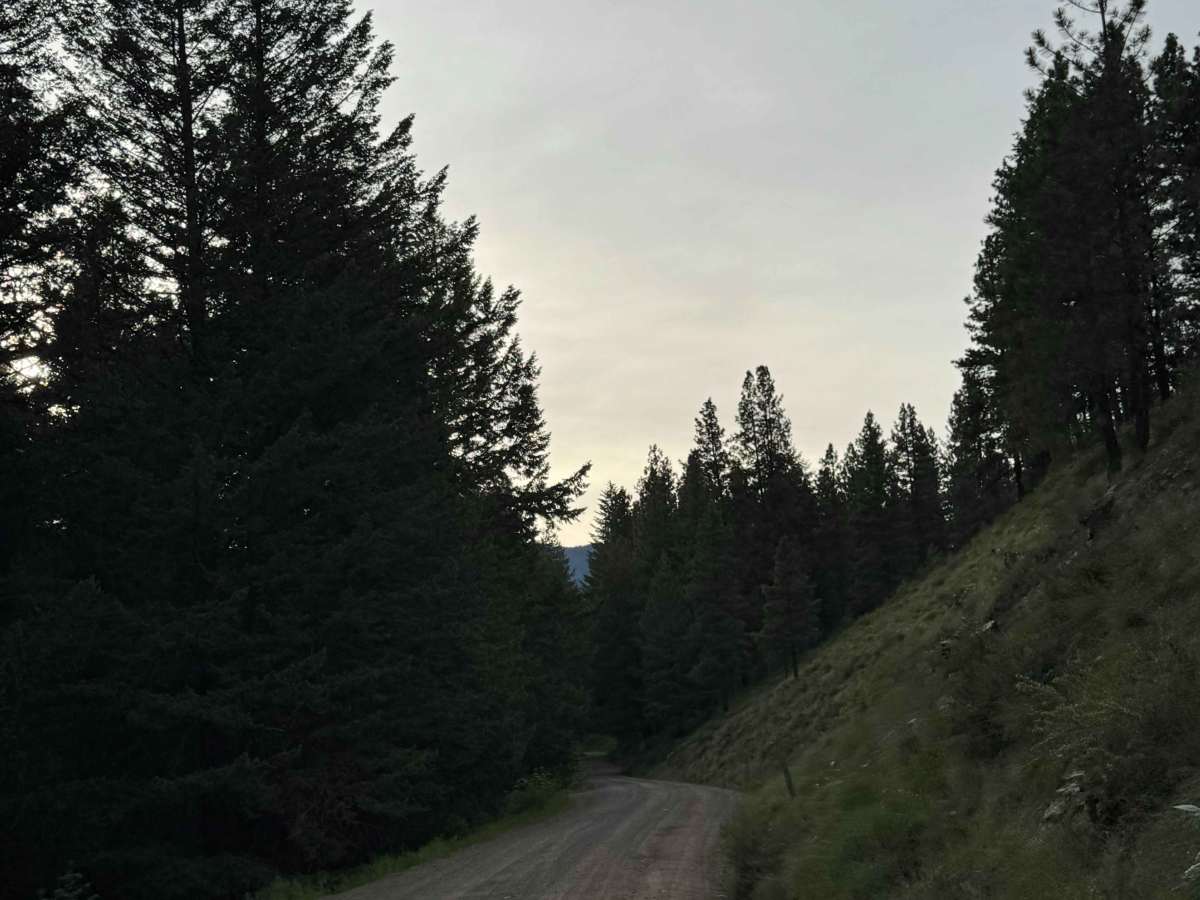 Cub Creek Road photo 2