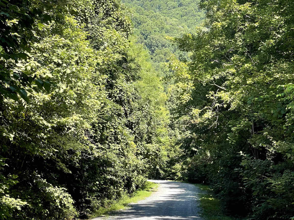 Globe Road photo 5