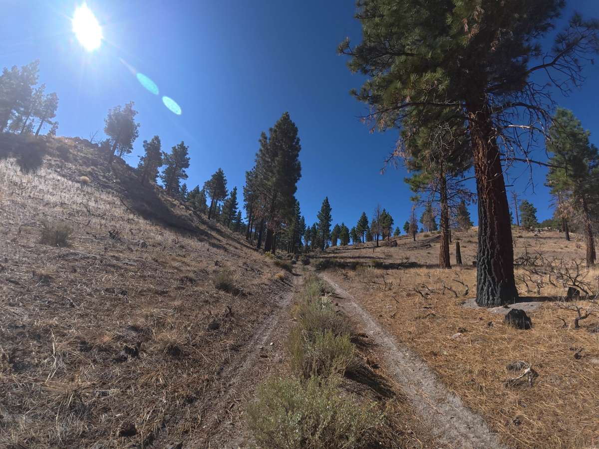 FS 3S41D trail photo