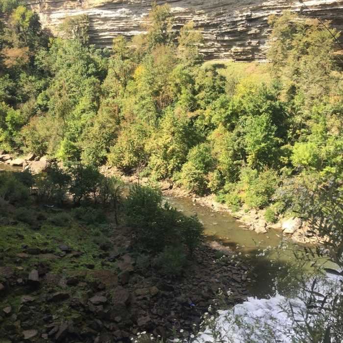 Near Burgess Falls Trail