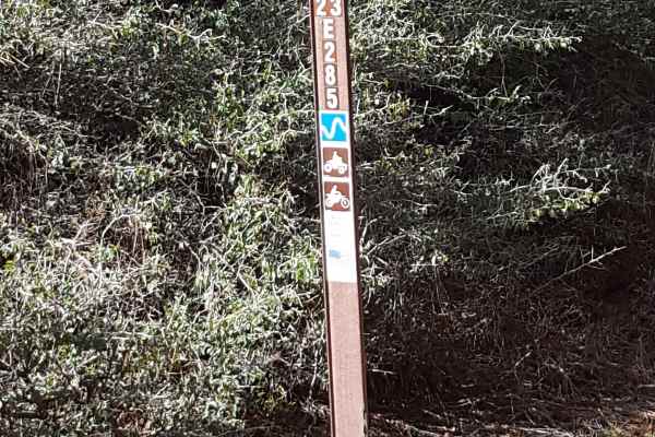 Browns Trail - FS 23E285