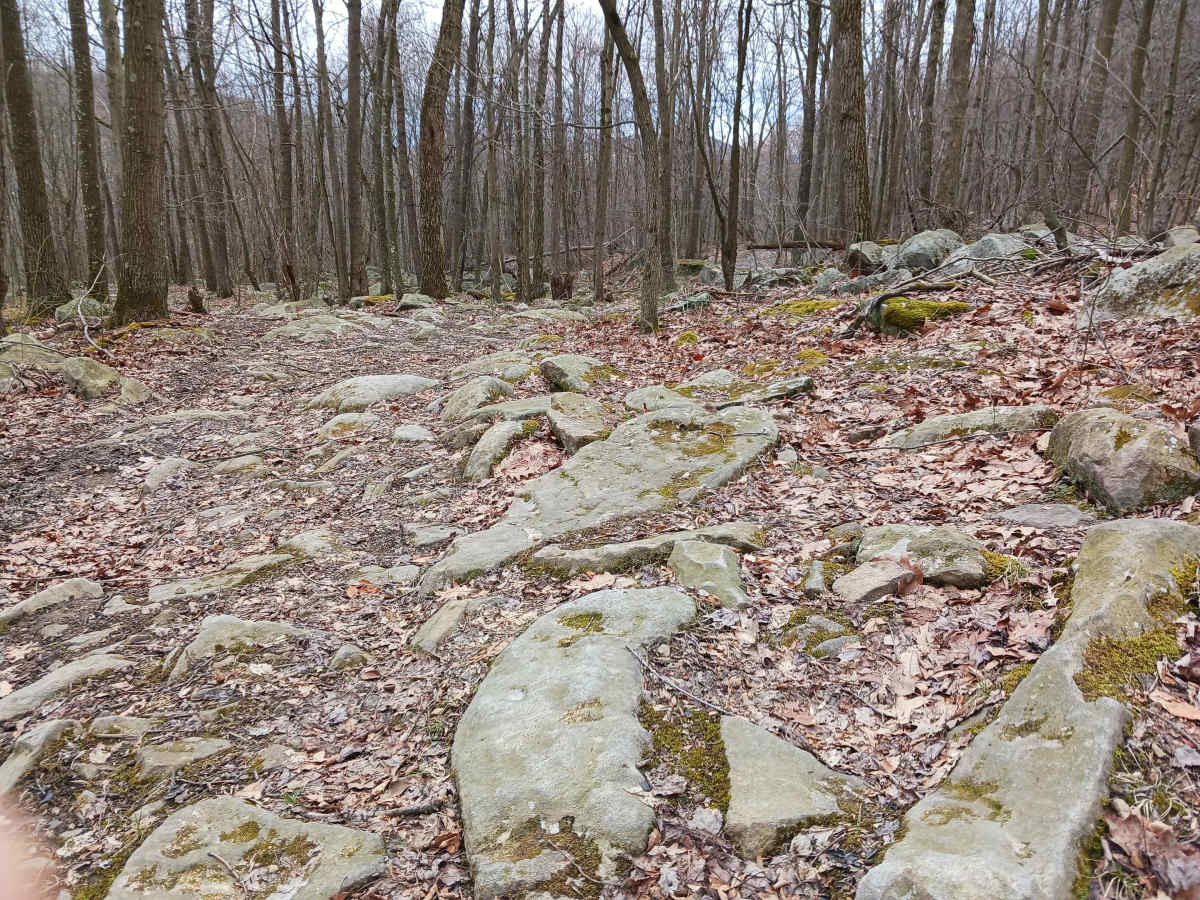 OHV 53 - Rock Run Recreation Area trail photo