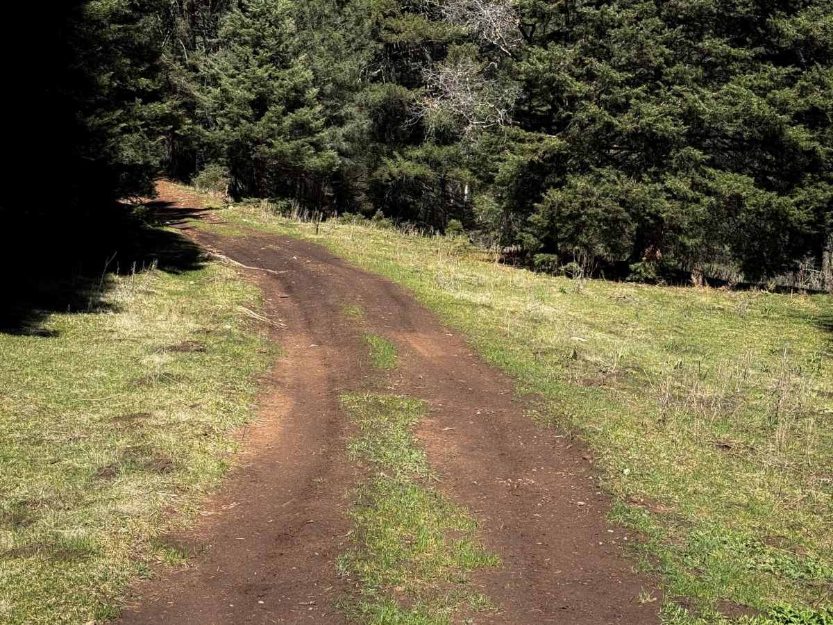 Benson Canyon Spur - FS 5005B  photo 2