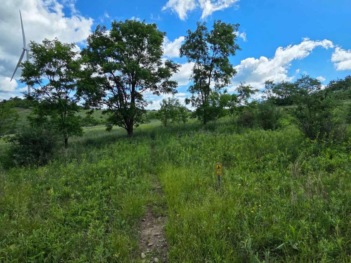Single Track K photo 2