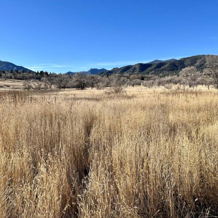 Near Lower Bear Creek Loop