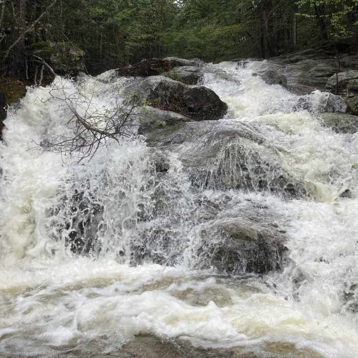 Near Mount Meader Trail (Trail #31874)