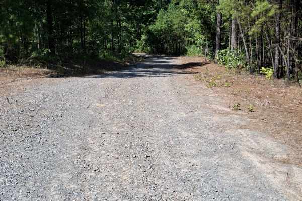 Birch Road