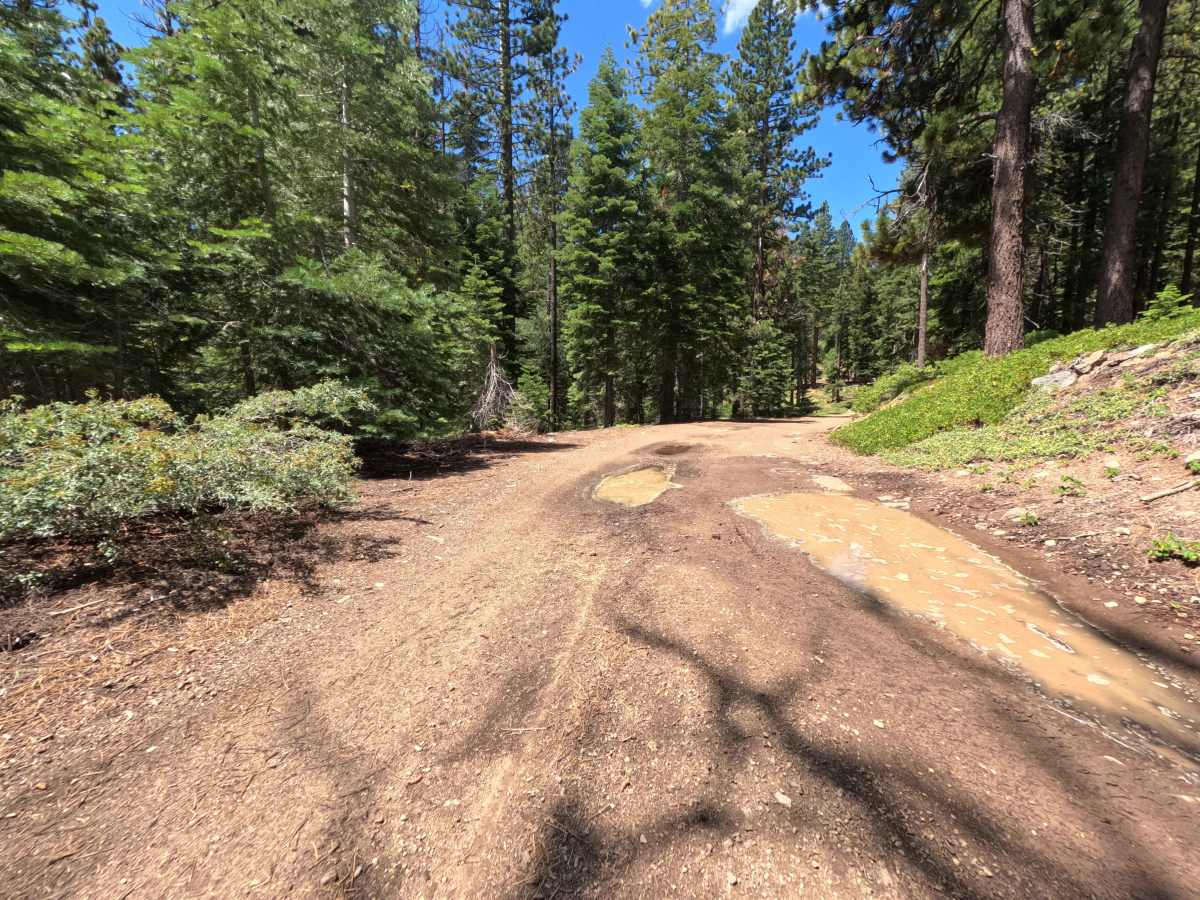 Pole Creek East - FS 5708-002 photo 4
