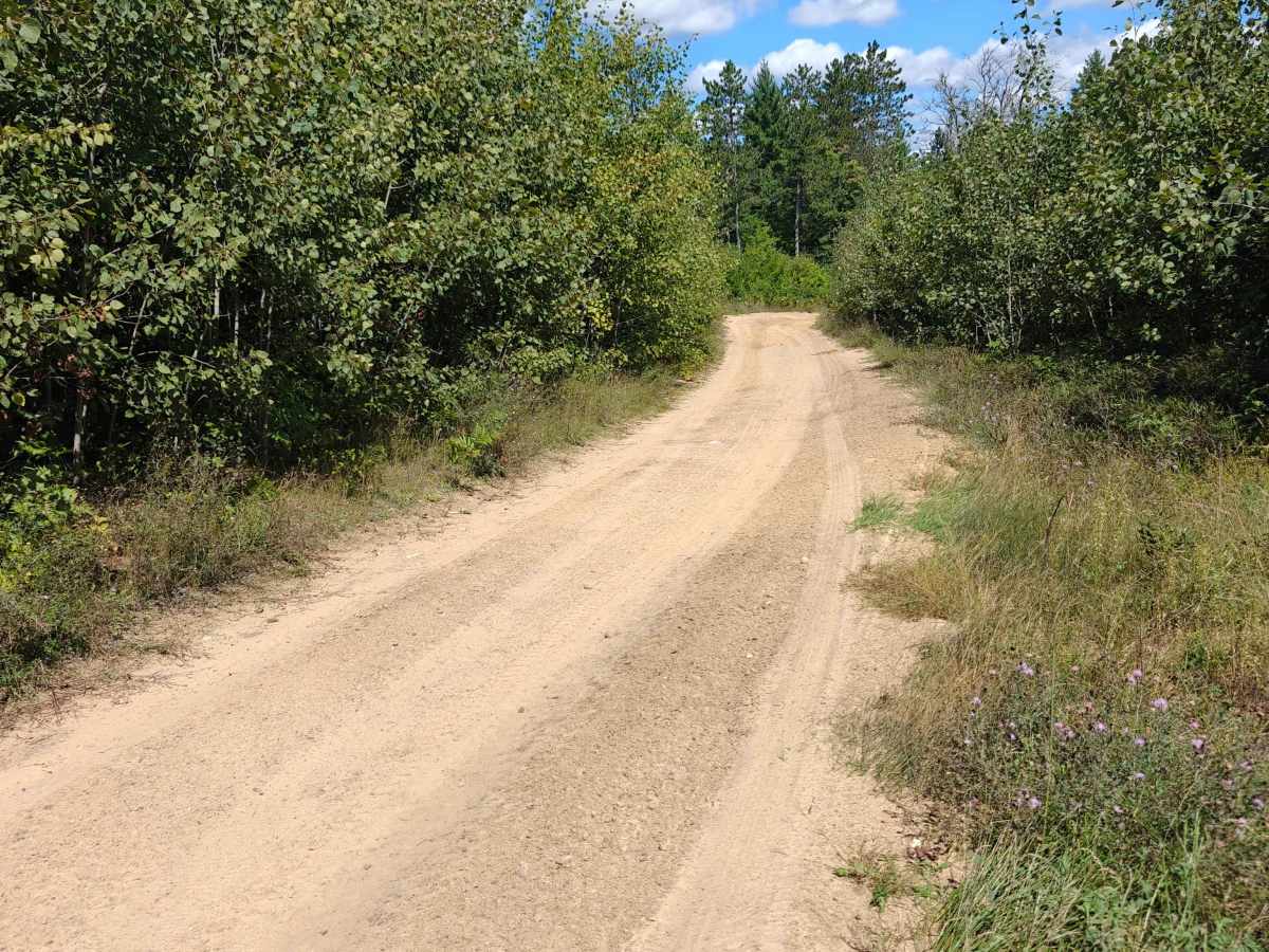 Townline Creek Trail photo 2