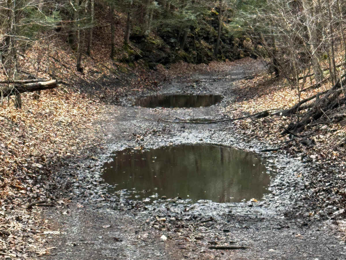 Hog Back Tunnel Trail photo 3