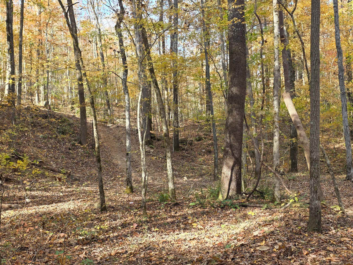 Creekside photo 6