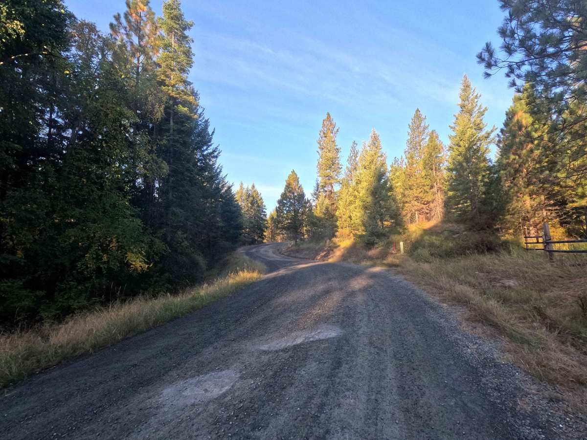 Starvation Lake Road photo 3