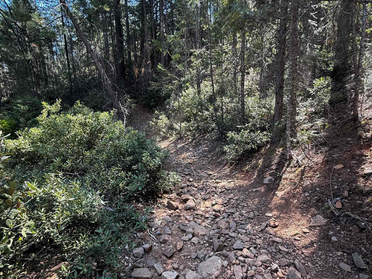 Trail 1-3 (11E30) trail photo