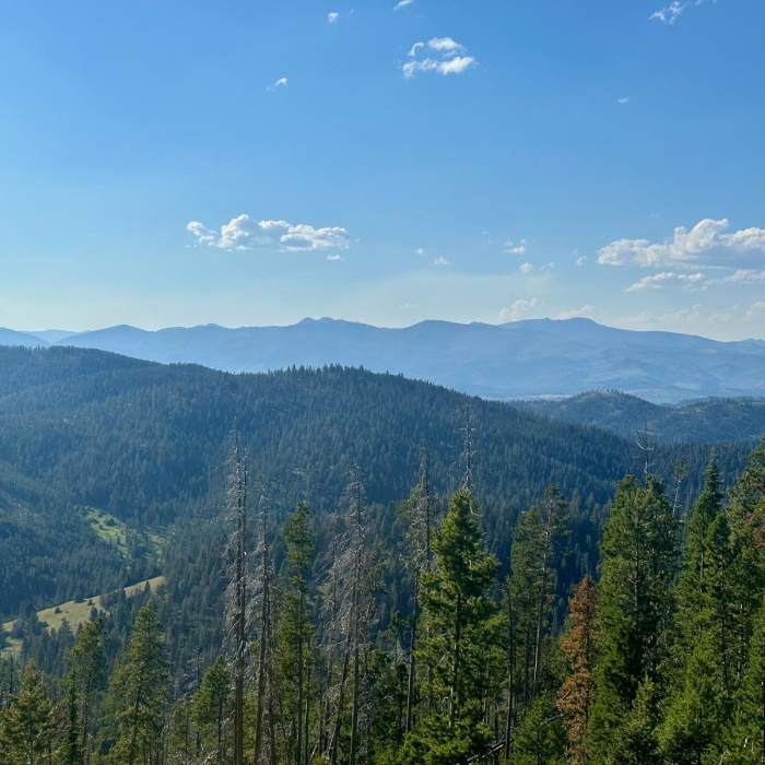 Near Continental Divide Trail: Montana-Idaho Section 21