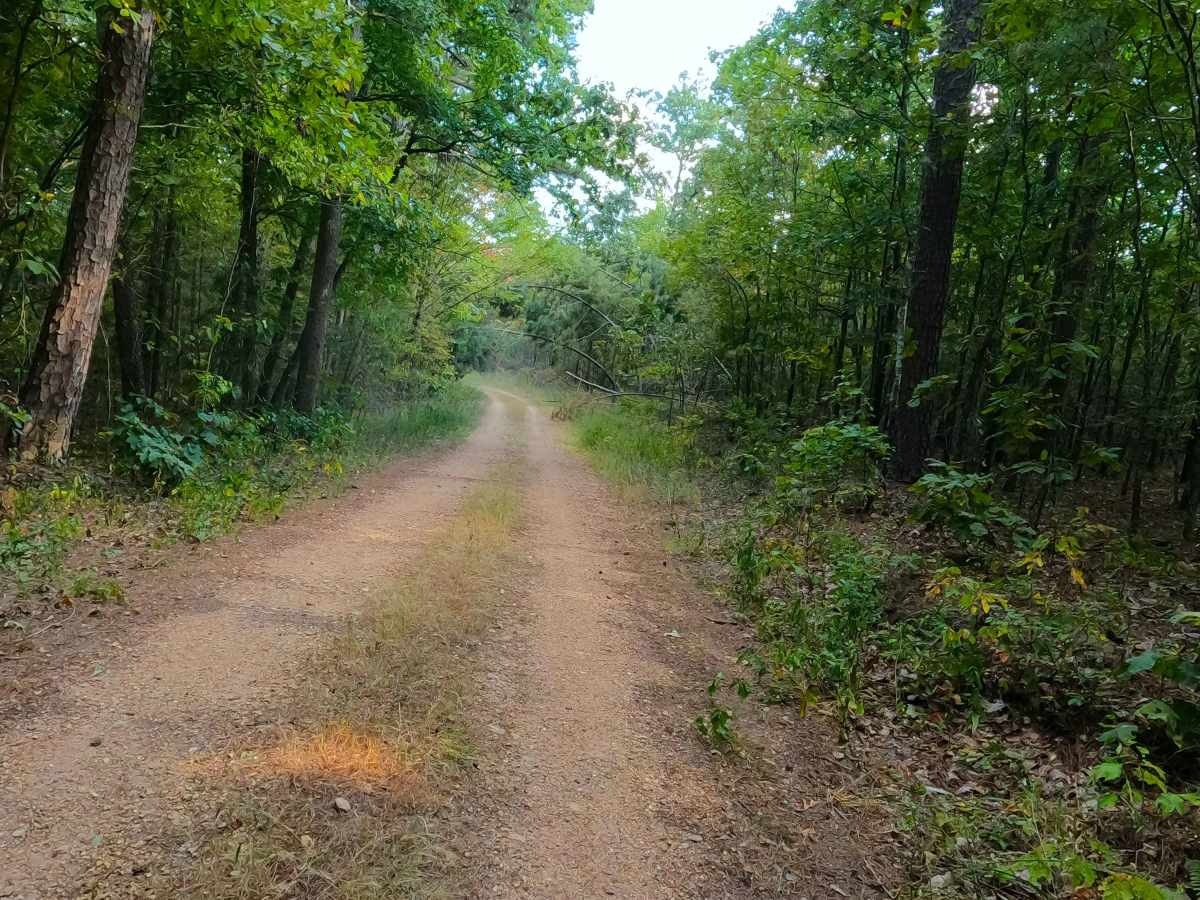 Turner Cemetery - FS 2367 photo 5