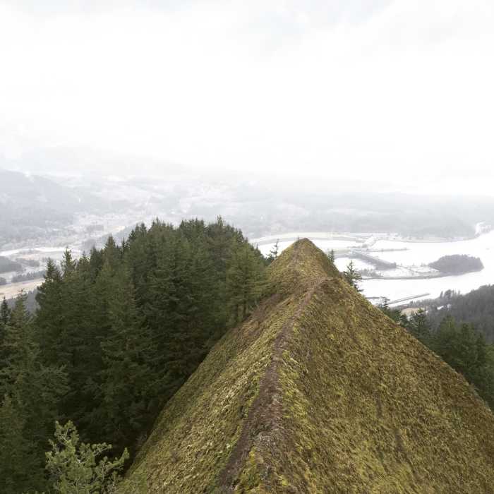 Near Munra Point Trail