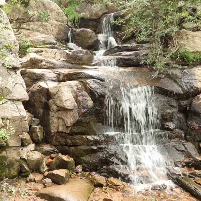Near Upper Maxwell Falls Trail