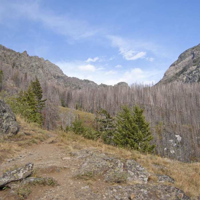 Near Pine Creek Lake