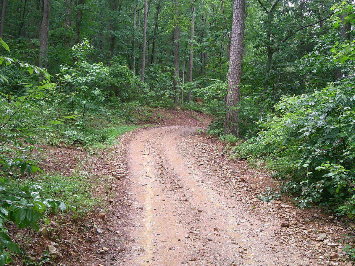 Big Fork Athens Road photo 3