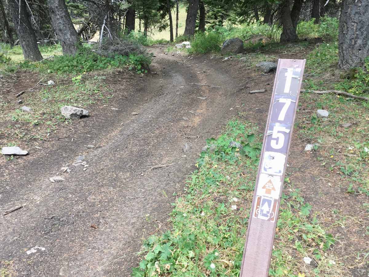 Lone Pine Pass ATV Trail photo 2
