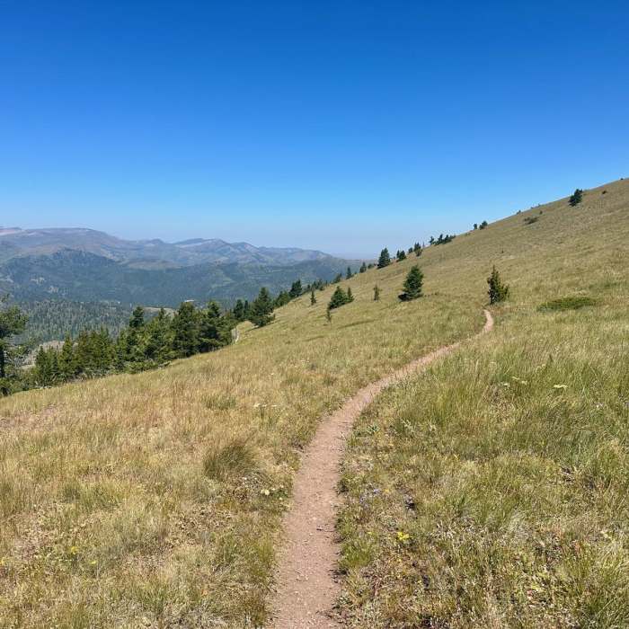 Near Continental Divide Trail: Montana-Idaho Section 22 Near Continental Divide Trail: Montana-Idaho Section 22
