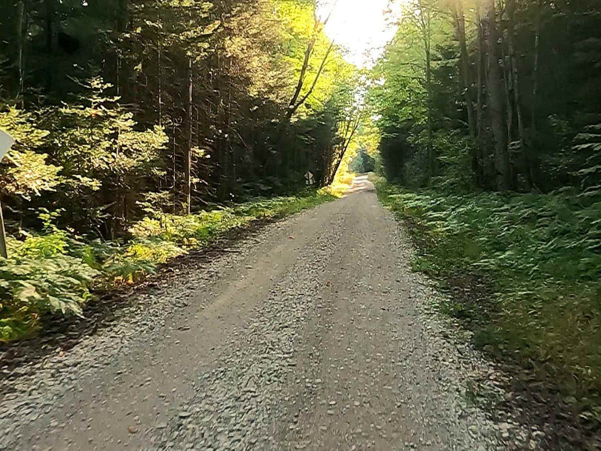 Pine River Truck Trail - FS 3137 photo 4