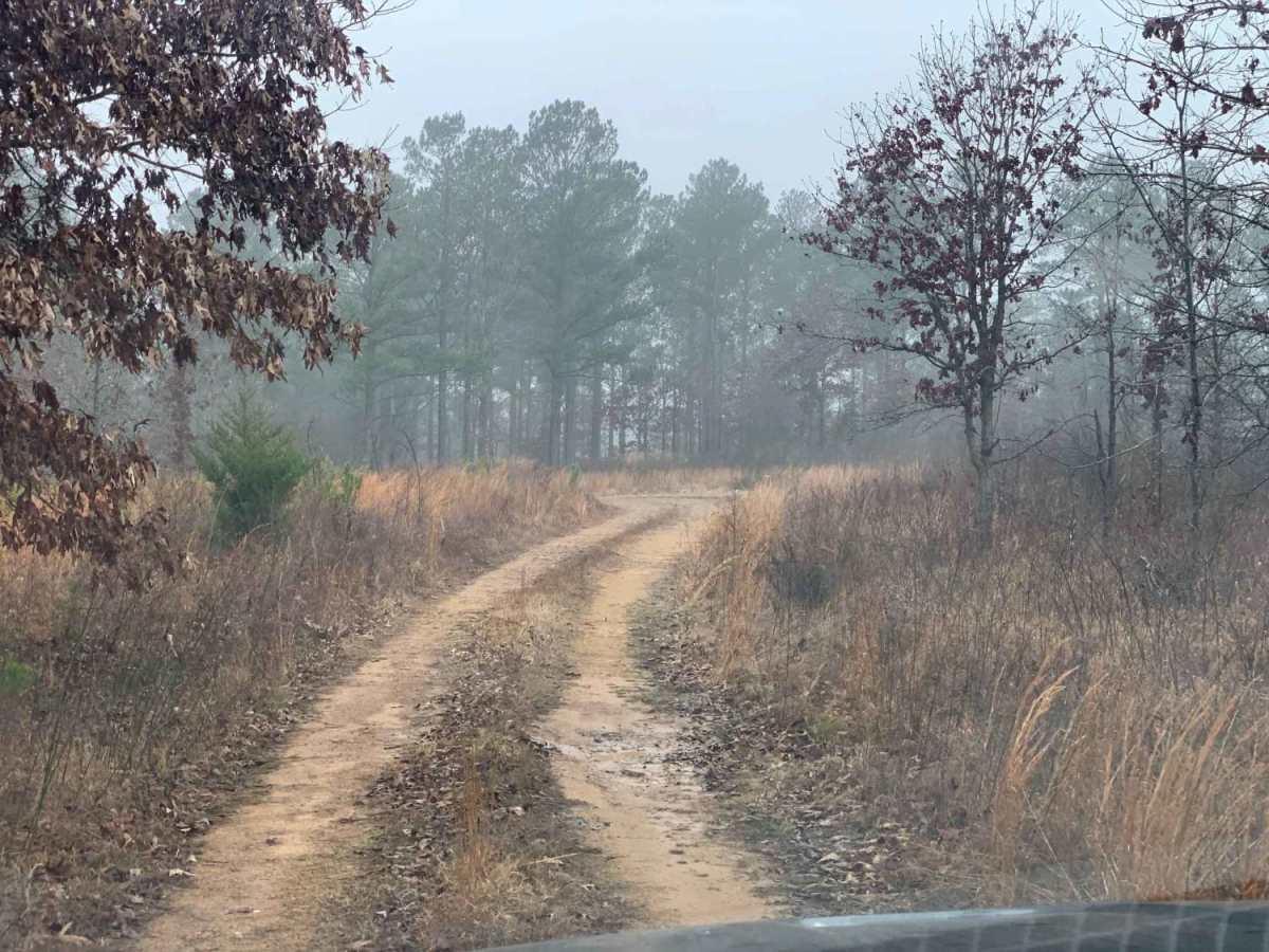 50240 - Tree Valley Trail photo 3
