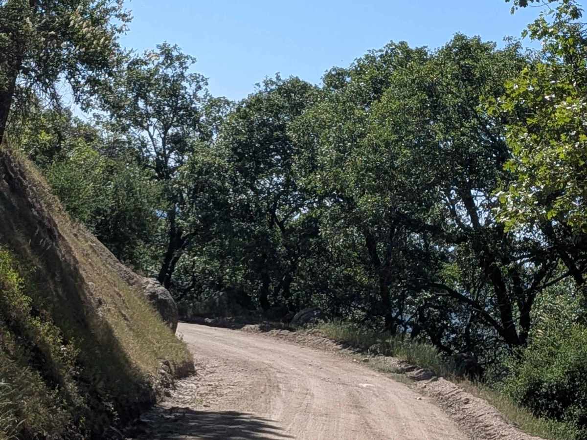 Poso Road trail photo