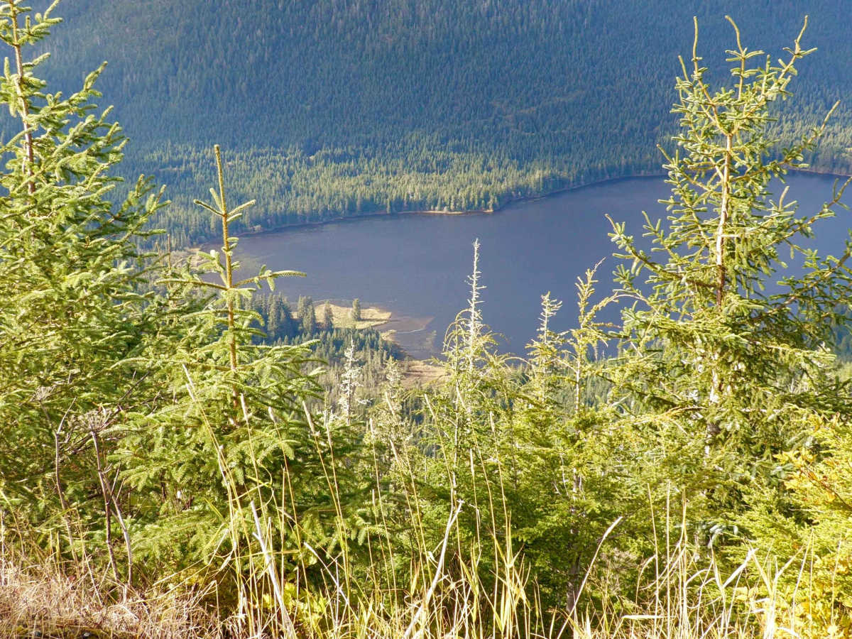East Luck Lake Road - FS 3030110 photo 5