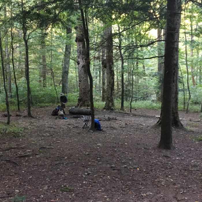 Near Anthony Creek Trail