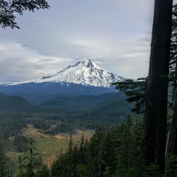 Near Pacific Crest Trail: Oregon Section F -- Highway 242 to Highway 35 (near Barlow Pass)