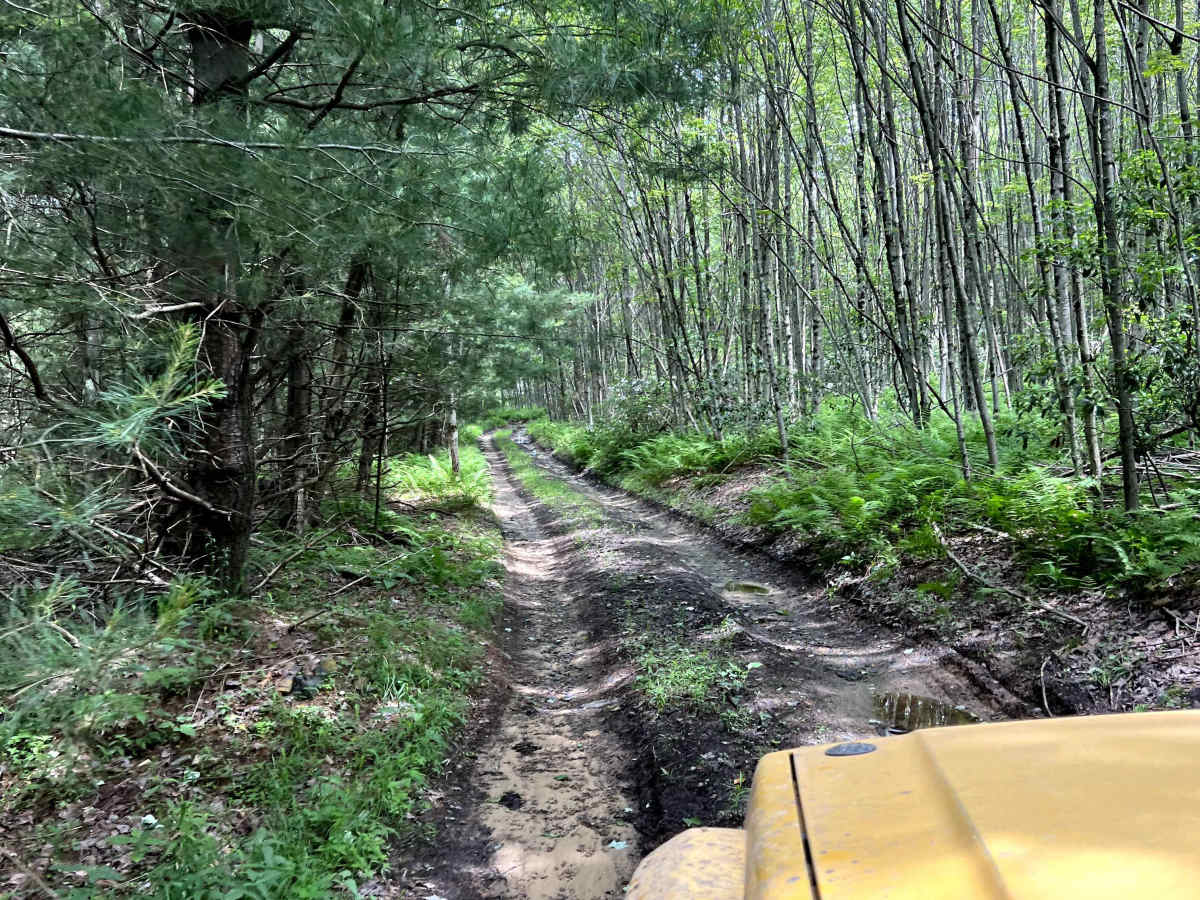 Smith's Run Trail trail photo