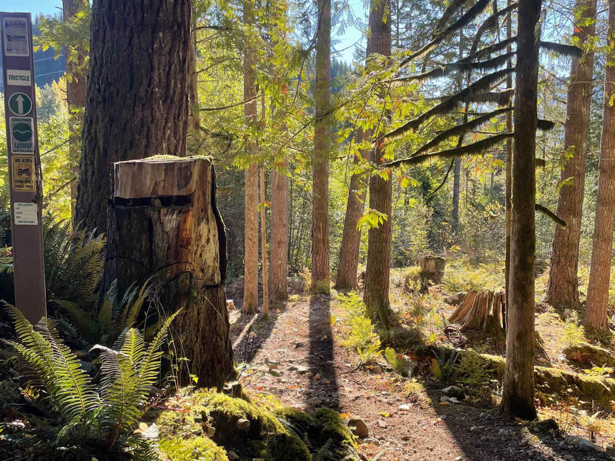 Tricycle trail photo