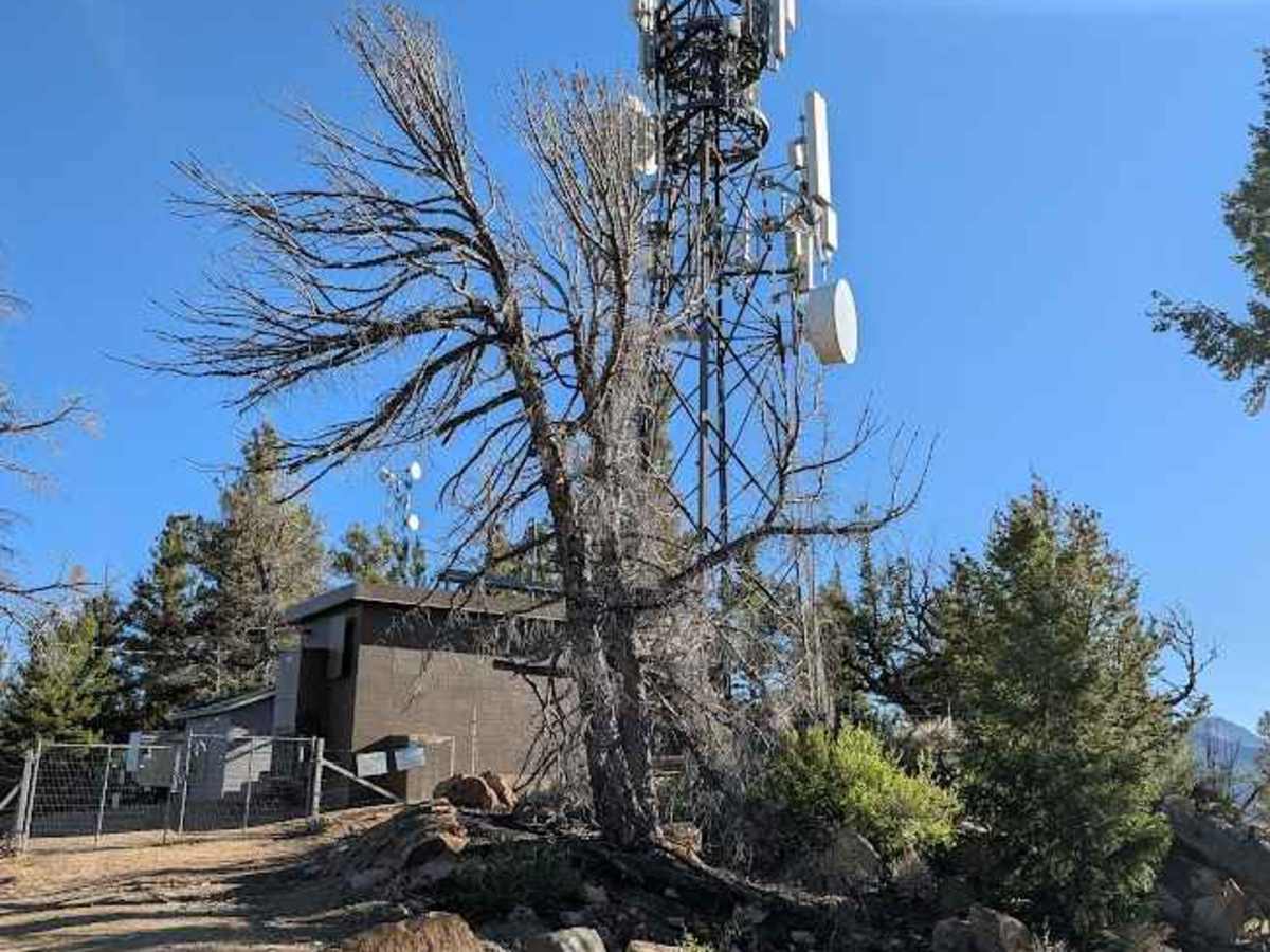 Radio Tower Spur Road trail photo