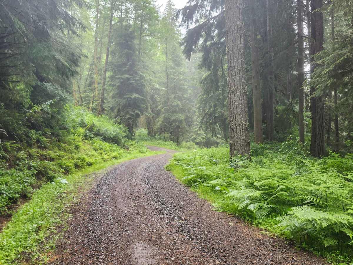 Cascade Head - FS 1861 trail photo