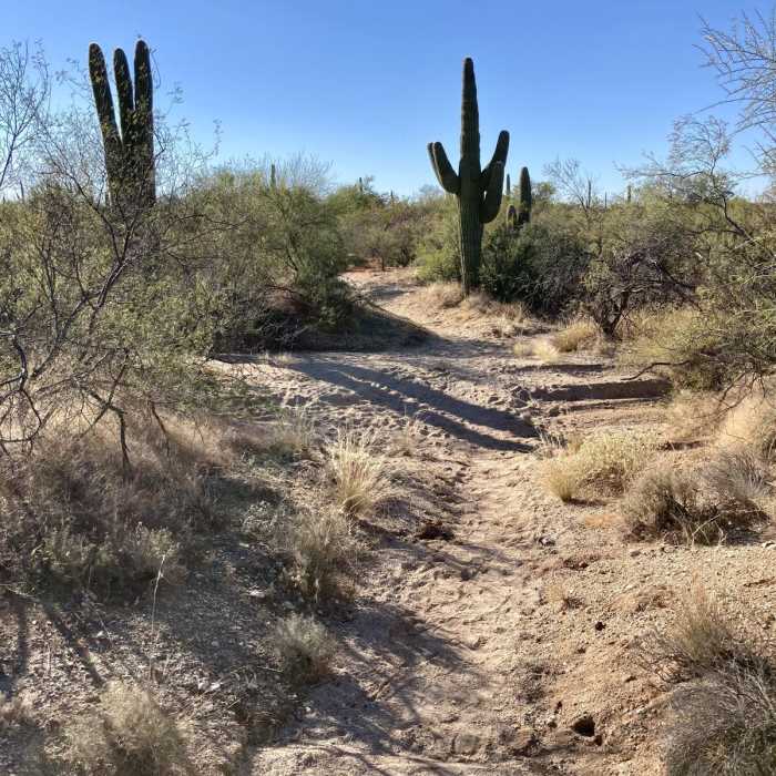 Near Shantz and Mica View Loop