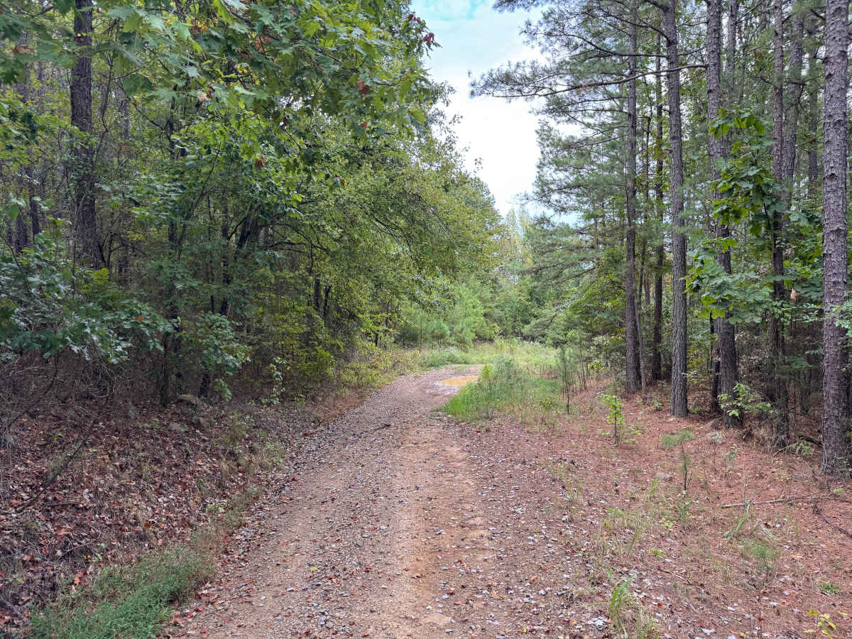 Hickory Grove photo 3