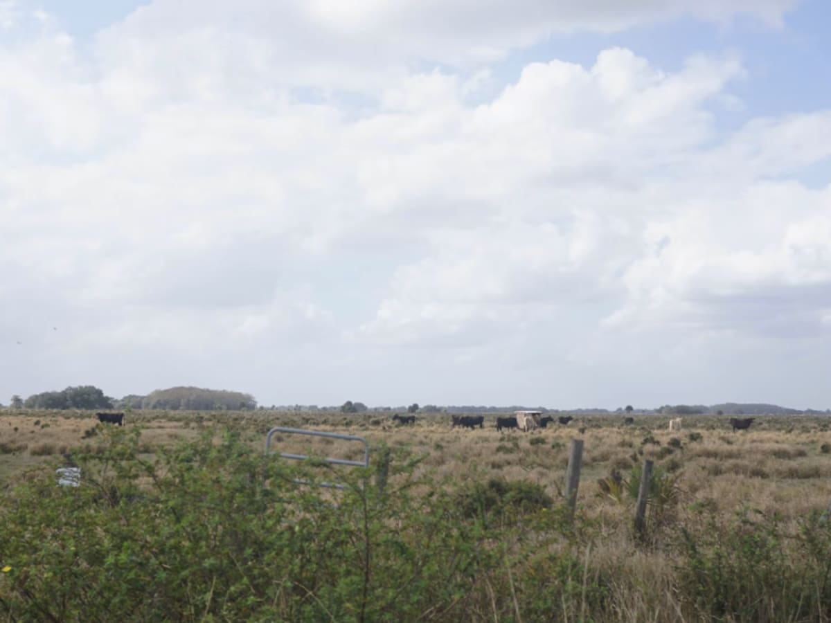 Road 10 Continuation photo 5