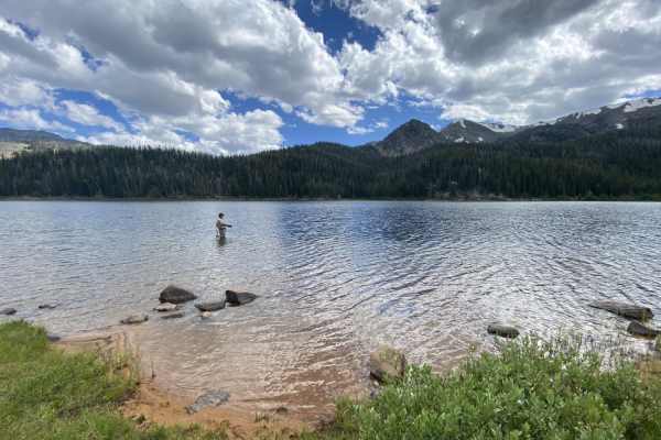 North Meadow - McKelvey