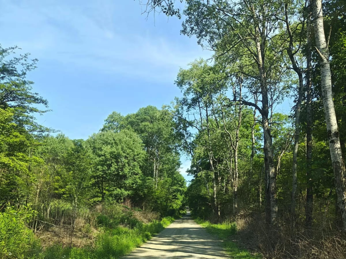 CDW Run Road photo 5