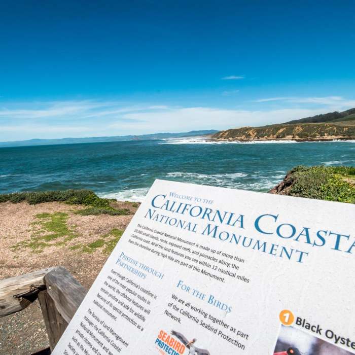 Near Bluff Trail Hike