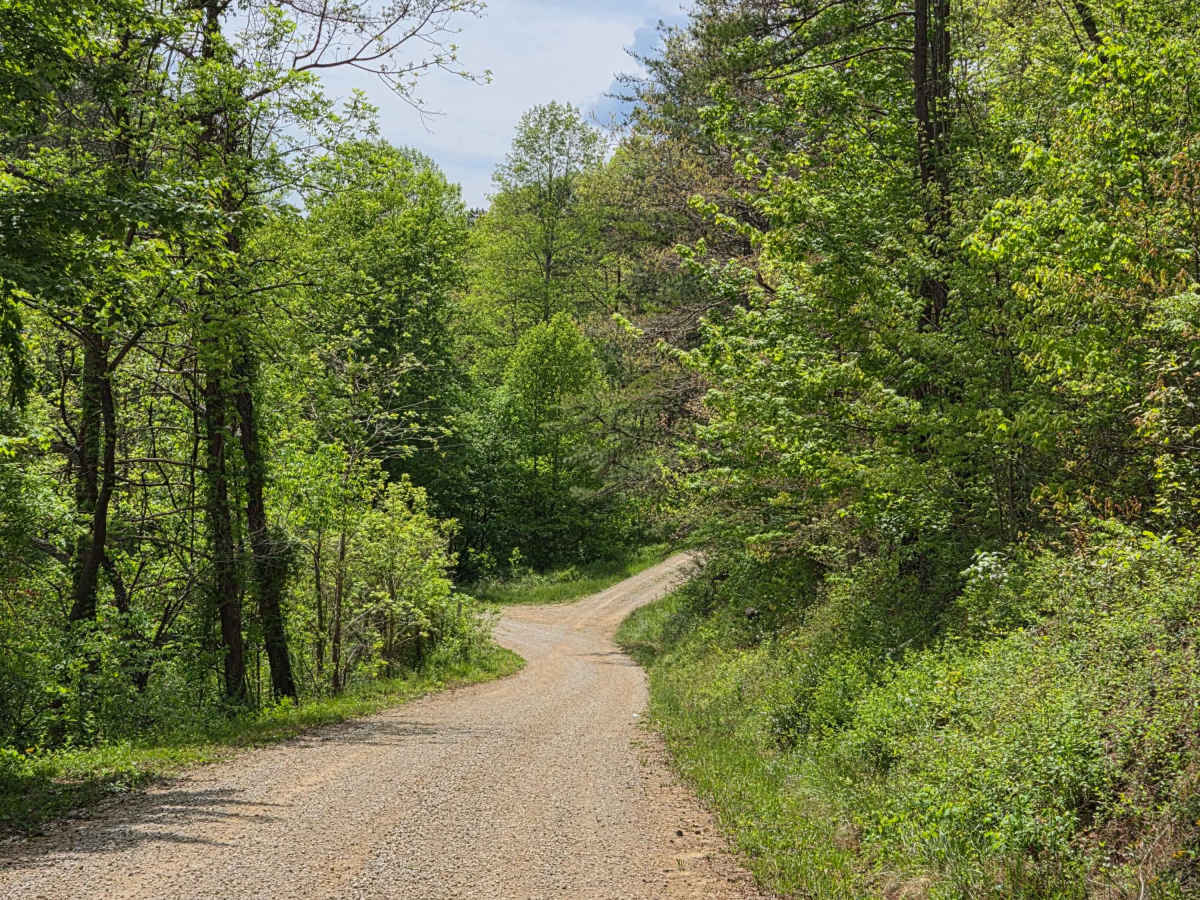 Pierson Road photo 5