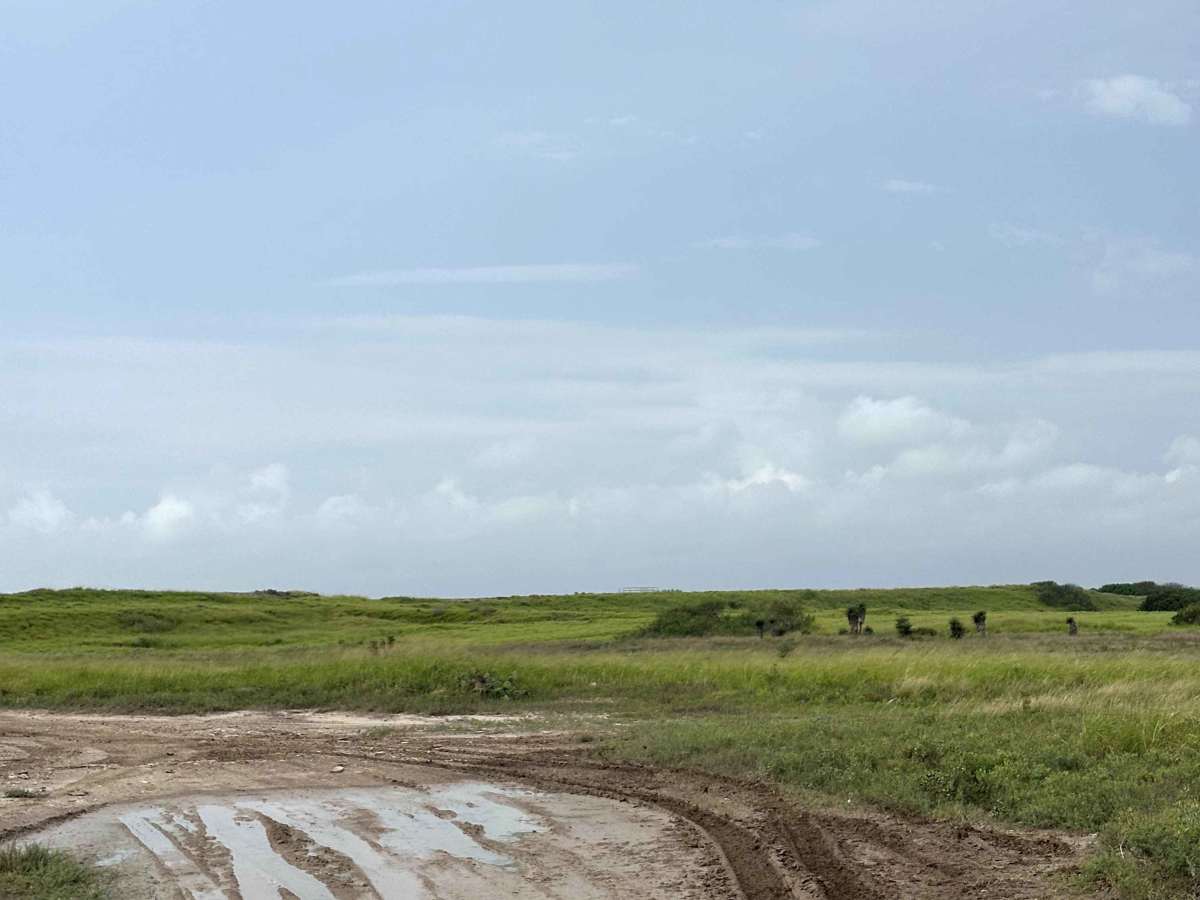 Dirt Hill photo 5