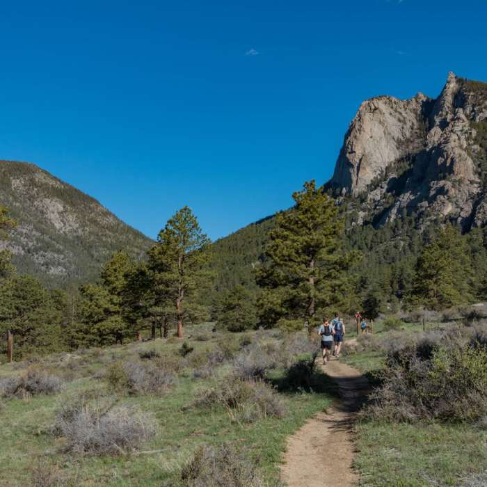Near Lumpy Ridge Loop