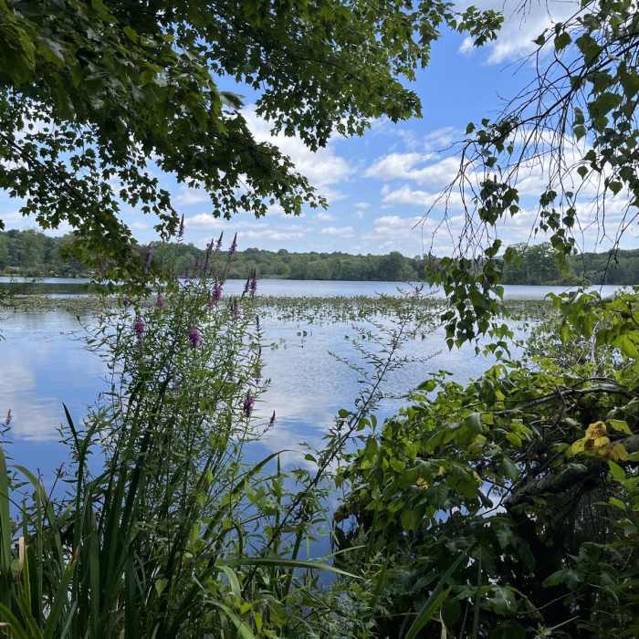 Near Ranger Loop Trail Near Ranger Loop Trail