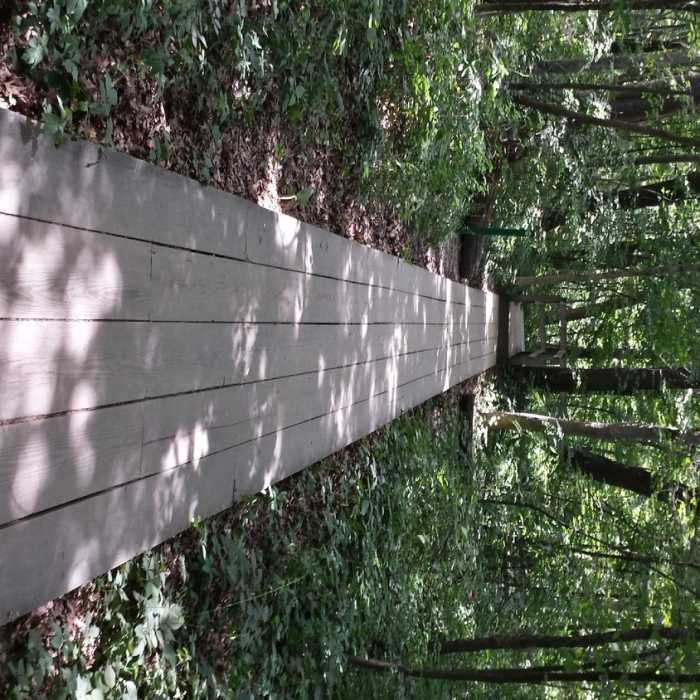 Near Bluff Trail - West